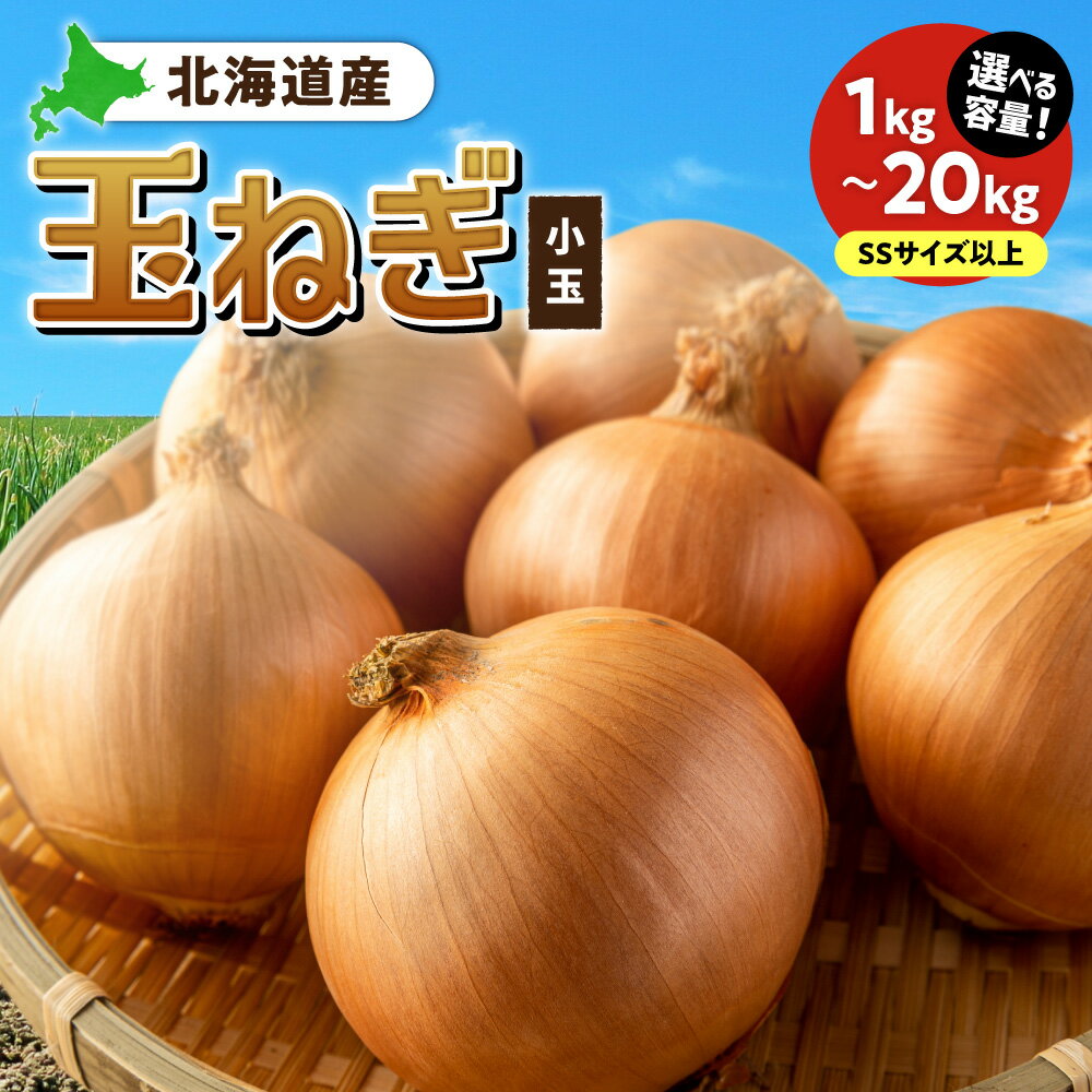 【ふるさと納税】 北海道産 玉ねぎ 小玉 【 選べる 容量 】 SSサイズ 1kg 2kg 5kg 10kg 20kg 野菜 玉葱 オニオン たまねぎ 国産 お取り寄せ 北海道 札幌市