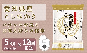 愛知県産コシヒカリ 5kg ※定期便12回 安心安全なヤマトライス H074-613