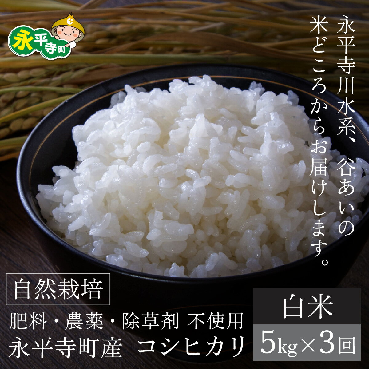 【ふるさと納税】【先行予約】【令和7年産 新米】【3ヶ月連続お届け】自然栽培米 コシヒカリ 永平寺町市野々産【白米】5kgx3ヶ月（計15kg）【11月上旬順次配送予定】 / ご飯 ごはん 白米　5kg　3ヶ月　定期便 無農薬 化学肥料 除草剤 不使用 福井県 永平寺