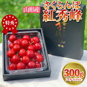 【ふるさと納税】さくらんぼ 「紅秀峰」 300g 特秀品 2Lサイズ以上 山形産【令和7年産先行予約】 FS24-038 くだもの 果物 フルーツ 山形 山形県 山形市 2025年産