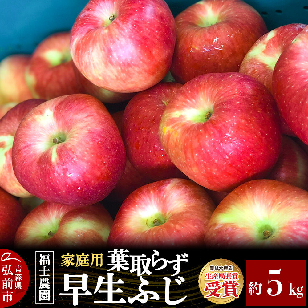 【ふるさと納税】【26年10月発送】りんご 葉とらず 早生ふじ【家庭用】約5kg 青森県 弘前市 [青森県産 産地直送 アップル おいしい 果実 果物 赤色 美味]