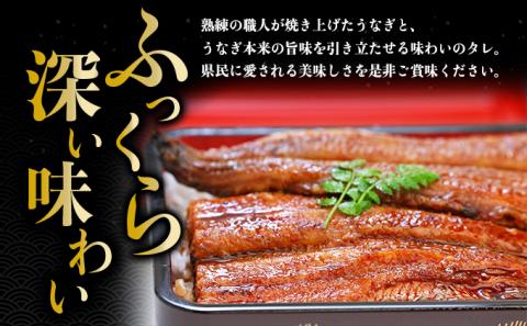 うなぎ蒲焼 2尾入　鰻 ウナギ 蒲焼き ギフト 贈答品 お歳暮 正月 うな丼 鰻丼 うな重 鰻重 ひつまぶし 国産 お中元