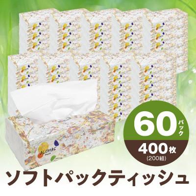 ふるさと納税 泉佐野市 ALOHAS ソフトパックティッシュ 400枚(200組)×60パック 010B1754
