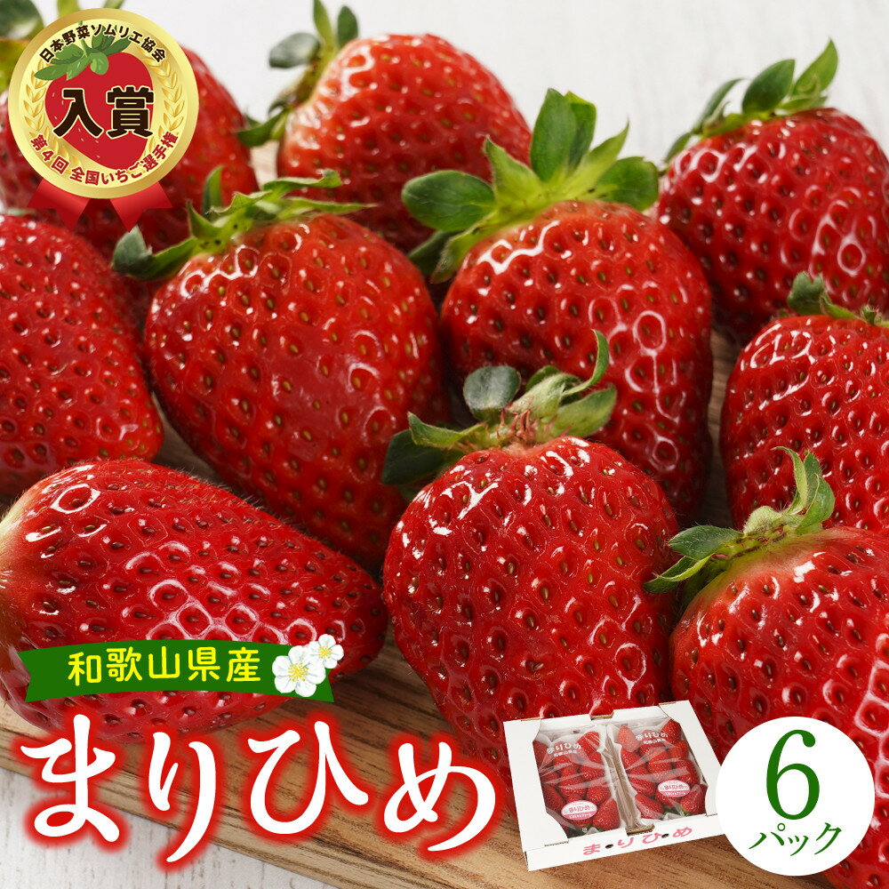 【ふるさと納税】まりひめ6パック【2026年3月～4月発送分】