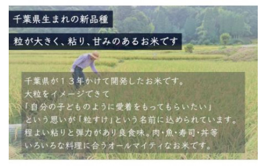 ＜3ヶ月定期便＞ 令和7年産 千葉県産「粒すけ」10kg×3ヶ月連続 計30kg A031