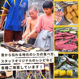 ジビエ BBQ 体験 チケット 1名様分 山梨県 早川町 本流堂 バーベキュー 山の幸 自然体験 手ぶら 絶景 ファミリー キャンプ風 地元野菜 川魚 アウトドア アクティビティ 無添加 天然食材 食
