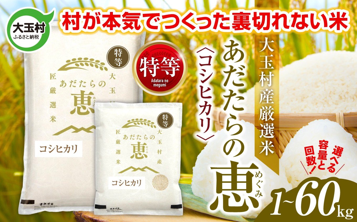 
                  米 大玉村産厳選米「あだたらの恵」特等（品種：コシヒカリ） 1kg / 2kg / 3kg / 5kg 選べる容量 単品 / 定期便 (3回 / 6回 / 12回) 選べる回数 《 令和7年産  》｜ 福島 大玉村 お米 米作り こしひかり 令和7年 精米 白米 こめ コメ ご飯 送料無料 大玉村農業振興公社 ｜ on-akt-r7
                