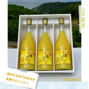 【ふるさと納税】NC-15 山本農園の生搾りはるか 3本セット（720ml×3本）みかんジュース　オレンジジュース　ストレートジュース　果物　くだもの　ビタミン　贈答　贈り物　100％　無添加