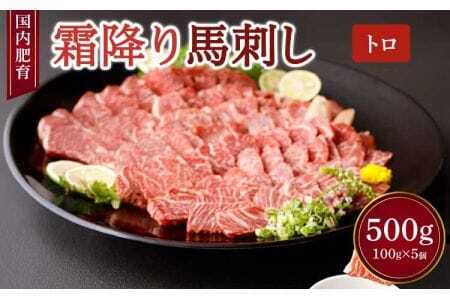 【国内肥育】霜降り 馬刺し 500g（100g×5個）醤油・生姜付き 馬刺し 霜降り馬刺し 熊本馬刺し 馬刺し堪能 馬刺し専門店