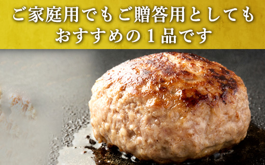 唐津バーグ8個とガーリックソースのセット 冷凍 真空パック 惣菜 特上ハンバーグ 小分け 個包装 にんにく