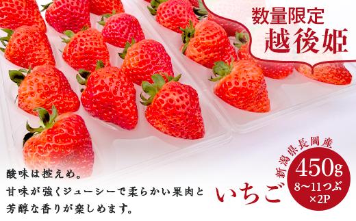 
48-E02新潟県長岡産いちご「越後姫」450g（8～11粒×2パック）
