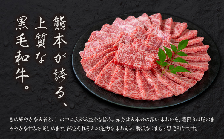 黒毛和牛 赤身 ウデモモ 焼肉 500g《30営業日以内に出荷予定(土日祝除く)》熊本県 氷川町 牛 牛肉 和牛 ブランド牛