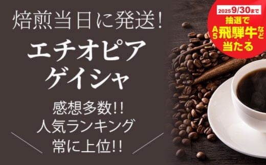 
            【秋の大感謝祭開催中！飛騨牛が抽選で当たる】焙煎当日に発送！エチオピアゲイシャ 浅煎り 超希少種コーヒー豆 200g
          