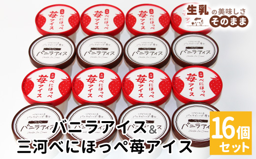 《7月末で受付終了》〈スピード発送〉バニラアイス＆紅ほっぺいちごアイス 16個入り 80ml  アイスクリーム アイス バニラ 苺 紅ほっぺ いちご 根羽村 ネバーランド 12000円