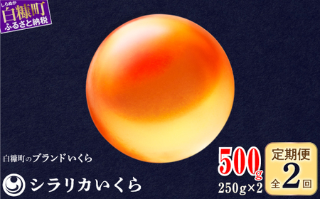 年2回お届け定期便 シラリカいくら【500g（250g×2）】〔お好みに味付けができます〕_K041-0921