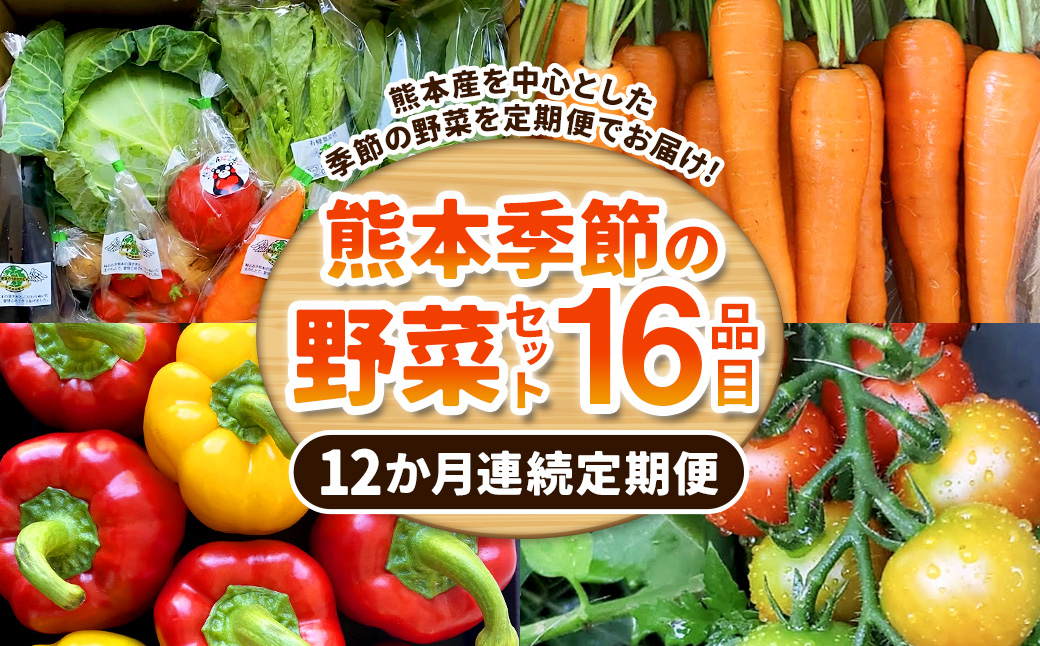 【12か月連続定期便】熊本季節の野菜セット 16品目