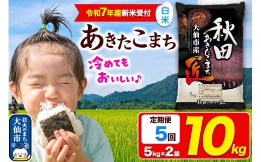 ＜令和7年産 新米受付＞《定期便5ヶ月》米【白米】秋田県大仙市産 あきたこまち 精米 10kg（5kg×2袋）令和7年産