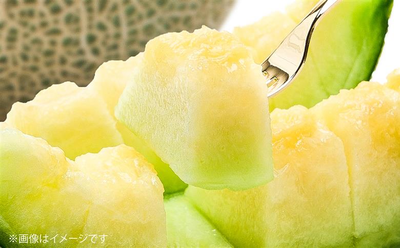 【数量限定30セット】神奈川県産 津久井浜 温室メロン アールスメロン 大玉 糖度16度前後 約2.0kg以上 1玉【小林マルモ農園】 [AKJG001]
