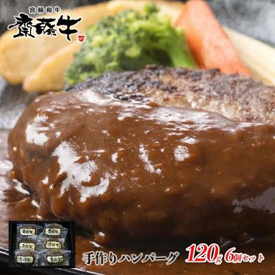 ふるさと納税 西都市 宮崎和牛「齋藤牛」手作りハンバーグセット(120g×6個)[2249]