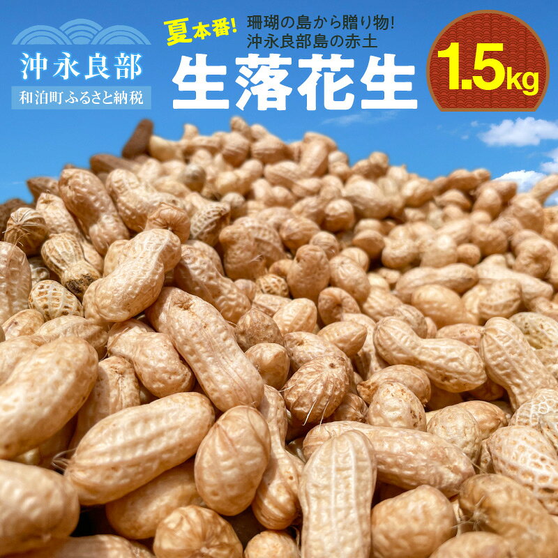 【ふるさと納税】夏本番！珊瑚の島から贈り物！沖永良部島の赤土 生落花生 1.5kg！【7月後半～9月上旬】約300個 ジーマミー 地豆 国産 冷蔵 南国 九州 ソールフード 塩茹で おやつ クール便 夏の塩分補給 村山農産 鹿児島 和泊町 おすすめ ランキング プレゼント ギフト