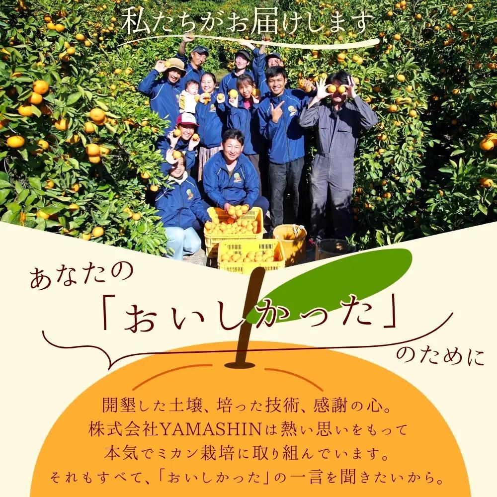 【訳あり】有田みかん 約10kg サイズ混合 みかん【nuk138H】