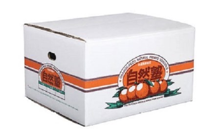 みかん 熟成温州みかん 約4.5㎏ 自然塾 みかん みかん みかん みかん みかん【szjk0002】