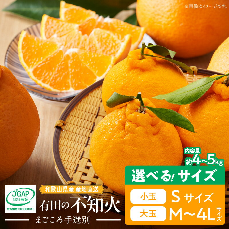 【ふるさと納税】【限定】【2026年先行予約】 不知火 選べる サイズ 小玉 大玉 S ～ 4L まごころ手選別 バランス 甘さ デコポン 有田 国産 柑橘 果物 果実 フルーツ 産地直送 食品 おやつ デザート こだわり お取り寄せフルーツ お取り寄せ 和歌山県 湯浅町 送料無料