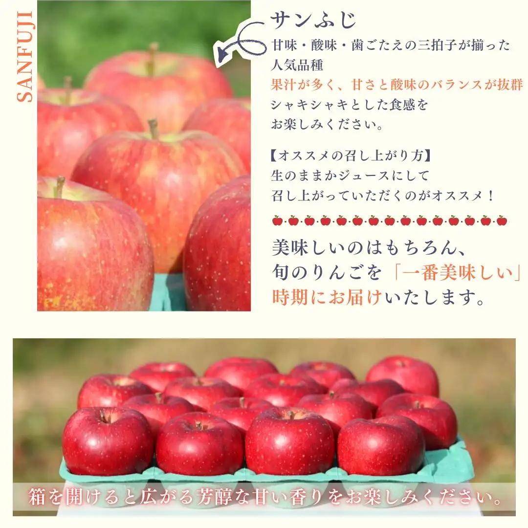 農園にお任せ旬のリンゴ ５kg入り贈答箱【100箱　限定品】［RS-104］