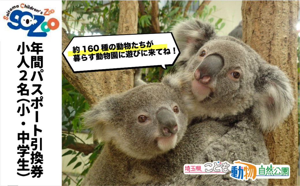 
            こども動物自然公園 年間パスポート引換券 小人2名分【 動物園 年間パスポート 子供2名 コアラ クオッカ 埼玉県 自然体験 動物園 家族で楽しむ 子供向け 年間利用可能 季節ごとのイベント アウトドア アクティビティ 教える 学びの場 お得な入場券 遊び場 】
          