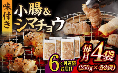 【6回定期便】【塩だれ】九州産和牛ホルモン 2種 計1kg（シマチョウ250g×2袋・小腸250g×2袋） [EAX148] ホルモン焼肉定期便 ホルモン焼肉定期便 ホルモン焼肉定期便 ホルモン焼肉定期便 ホルモン焼肉定期便