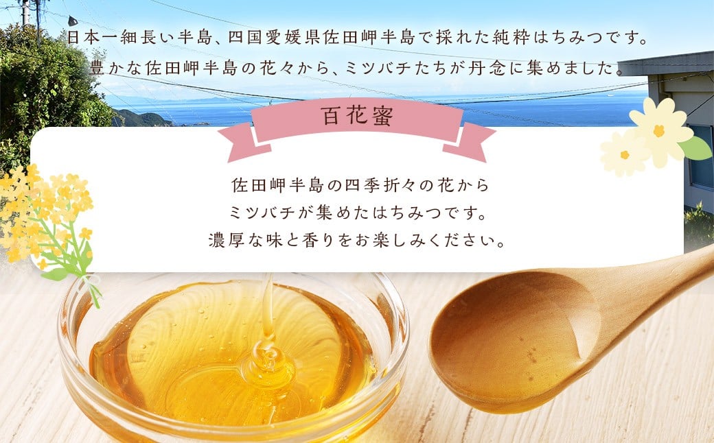 「岬のしずく」佐田岬半島産 純粋蜂蜜 百花蜜 1kg 3本 セット 合計約3kg はちみつ ハチミツ 蜜 国産 (320-1)