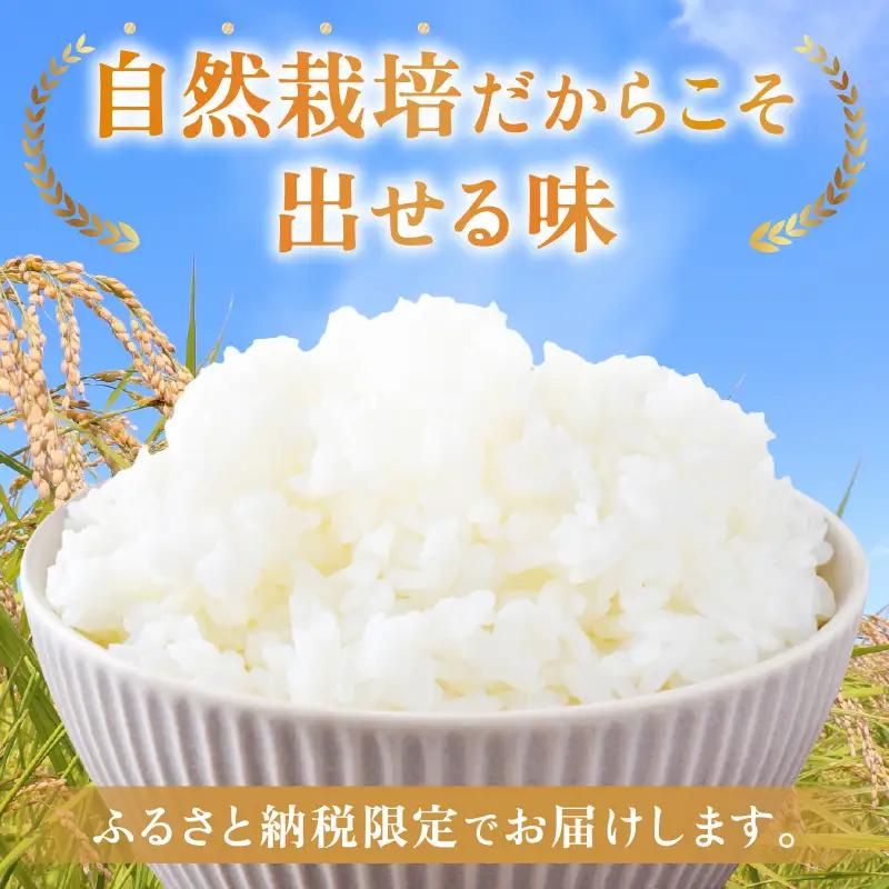 【先行予約】【令和8年産】コシヒカリ 精米 5kg 化学肥料 農薬不使用 自然栽培米 / 北陸 福井県産 あわら市 ブランド米 白米 お米 コメ ※2026年10月上旬以降順次発送予定 [aw138-