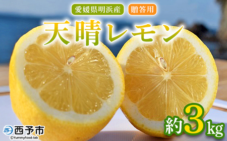 【先行予約】＜天晴レモン 贈答用 約3kg＞ フルーツ 果物 くだもの レモン れもん 檸檬 柑橘 プレゼント 贈り物 お返し お礼 ギフト アレンジ 料理 国産 国産レモン 愛媛県産 特産品 株式会社笑丸 愛媛県 西予市【常温】『2026年9月から順次出荷予定』AAN0047