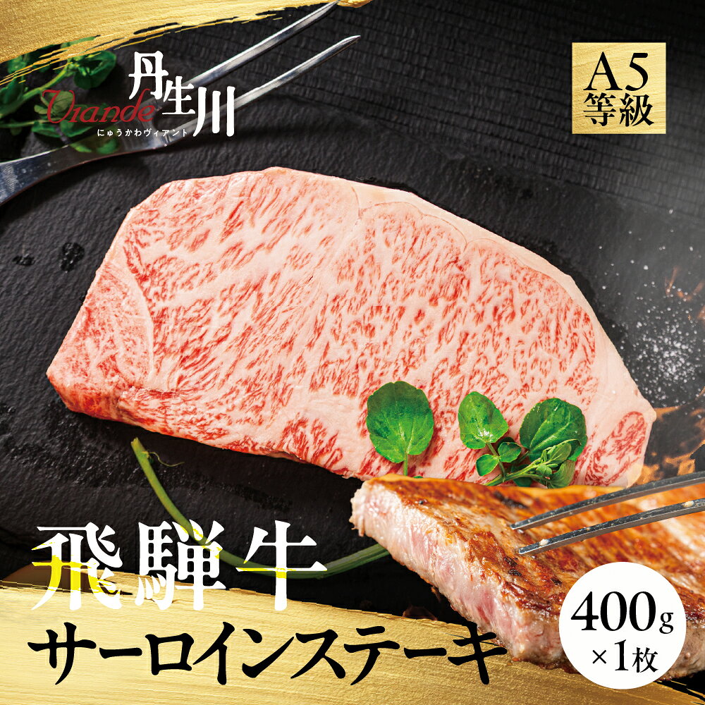 【ふるさと納税】飛騨牛 A5等級 サーロインステーキ 400g 1枚 | 黒毛和牛 ブランド牛 豪華 真空パック 丹生川精肉 JJ004VP