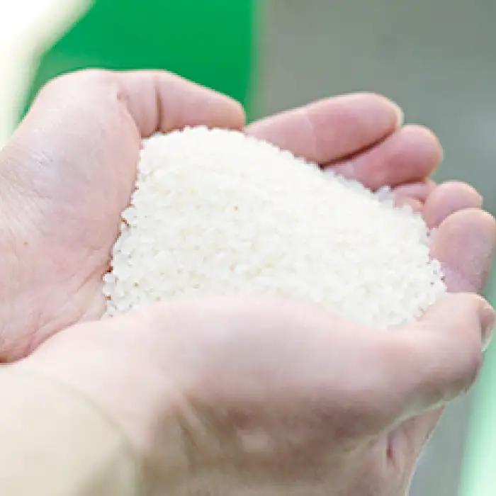 令和7年産 美郷きぬむすめ 10kg（5kg×2袋）【米 お米 精米 白米 ブランド米 きぬむすめ 10kg 5kg×2袋 2025年産】