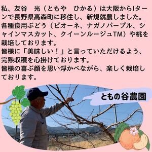 訳ありクイーンルージュTM２kg＜9月下旬より発送開始＞
