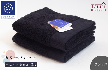 カラーパレット フェイスタオル2枚セット（ブラック） タオル美術館【I001720FT2BK】