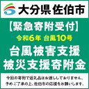 【ふるさと納税】【令和6年台風10号被害支援緊急寄附受付】大分県佐伯市災害応援寄附金（返礼品はありません）