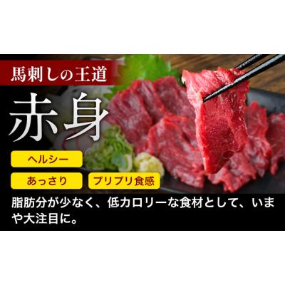 ふるさと納税 南阿蘇村 馬刺し 赤身 馬刺し 500g 【純 国産 熊本 肥育】 《3-7日以内に出荷予定(土日祝除く)》