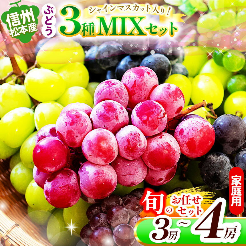 【ふるさと納税】【先行受付：2026年発送】信州松本産　ぶどう3種MIXセット（シャインマスカット入り）　3～4房(約1.8kg) 　お任せセット 家庭用 │ シャインマスカット マスカット ブドウ ぶどう 葡萄 くだもの フルーツ 自然 旬 ご褒美 長野県 信州 松本 ふるさと納税