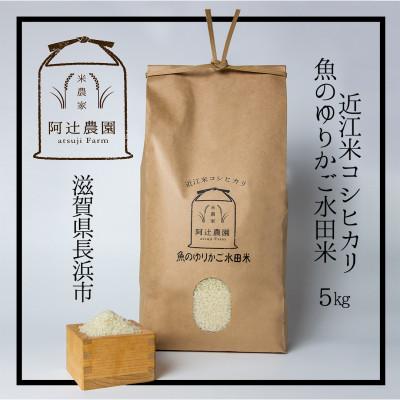 ふるさと納税 長浜市 近江米コシヒカリ 魚のゆりかご水田米 5kg