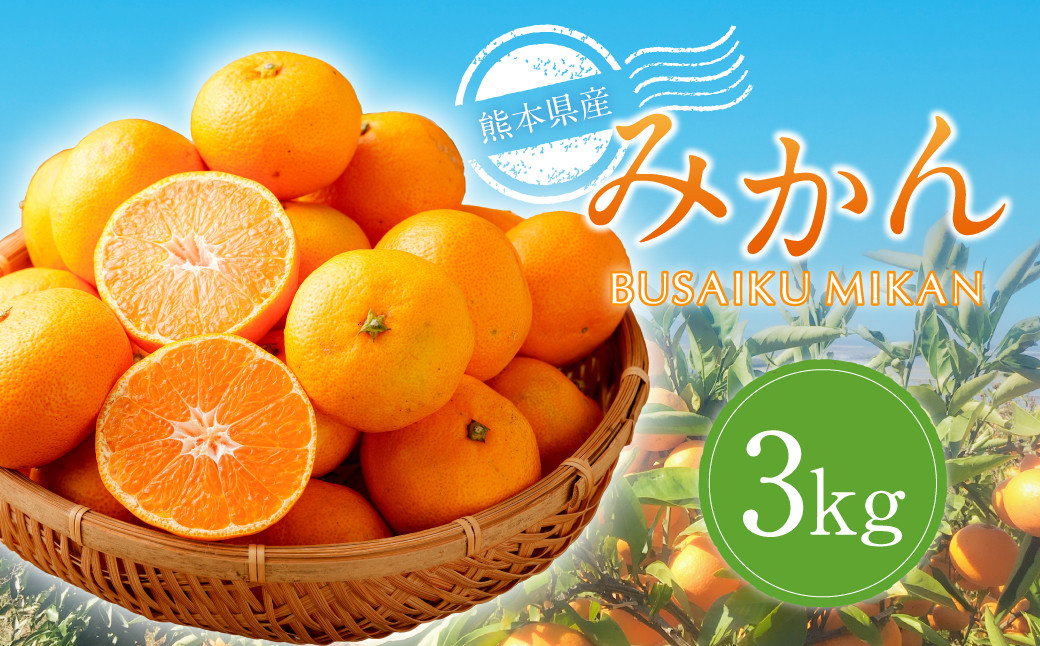 
            熊本県産みかん BUSAIKU MIKAN 3kg 【2025年10月上旬発送開始】 フルーツ 果物 くだもの みかん 蜜柑 柑橘
          