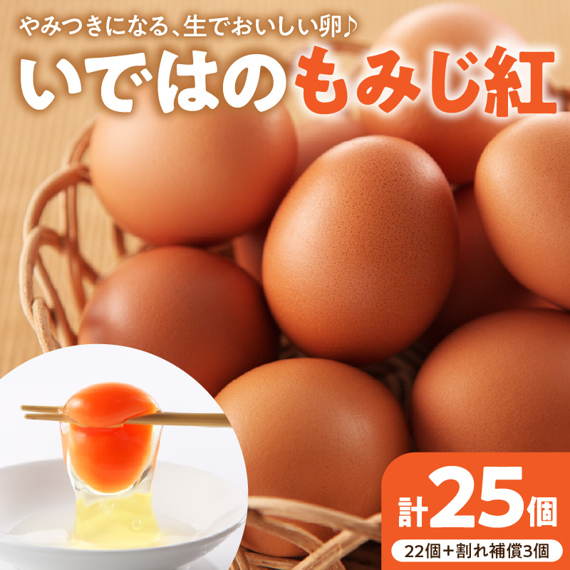 たまご 25個 入り（破損補償3個を含む）新鮮うみたて【ブランド 卵 いではのもみじ紅 】 25個 入り