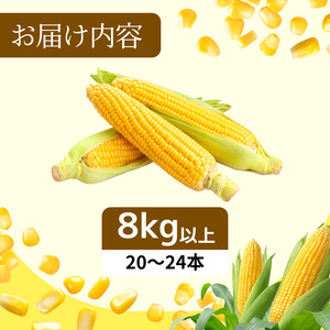 【6月下旬から7月下旬まで発送】とうもろこし ゴールドラッシュ 8kg以上 