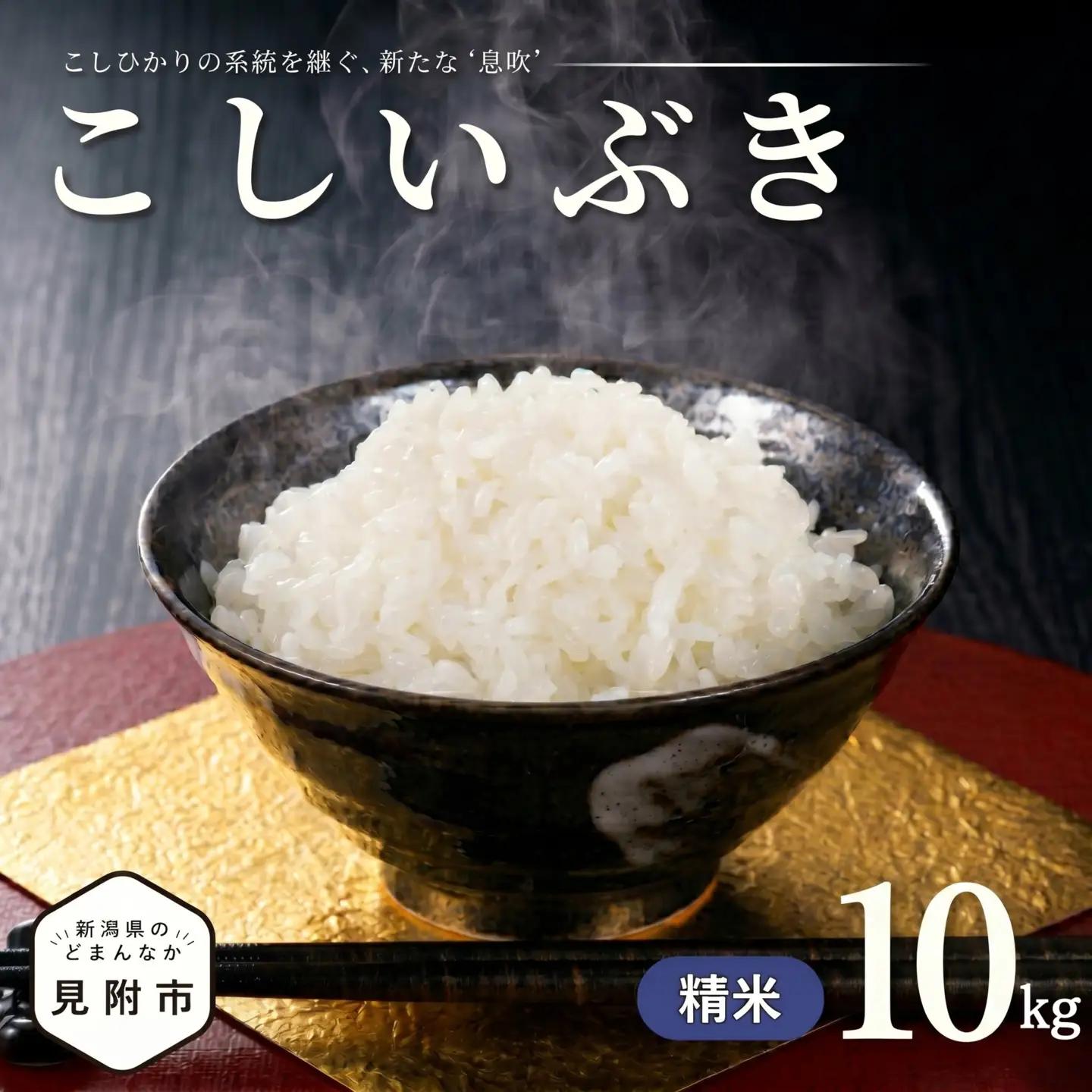 米【令和7年産】こしいぶき 精米10kg