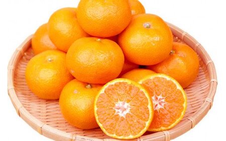 赤秀品　紀州有田産濃厚完熟温州みかん　3kg（ＭサイズまたはＳサイズ）【2025年11月下旬以降発送】【先行予約】【UT12】