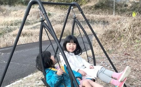 ツヨニーの 家庭用ブランコ 【葉っぱ ブランコ ワイドタイプ】［(S)1586］