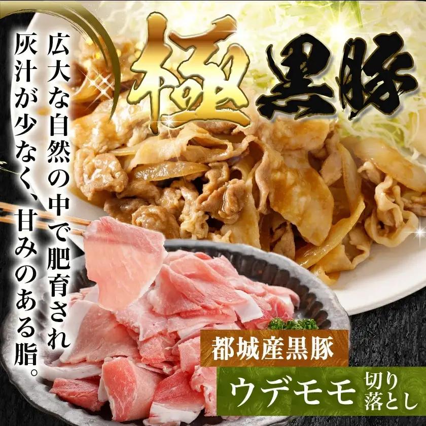 宮崎牛と黒豚+ポークソーセージの詰め合わせセット〔AC-N4-001〕_(都城市) 宮崎県産 都城産 宮崎牛 牛肉 黒毛和牛 ロース 赤身 黒豚 ウデ/モモ 切り落とし ソーセージ