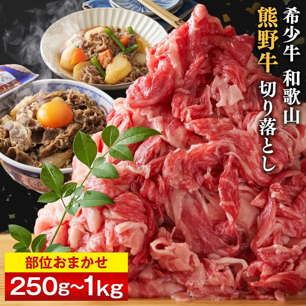【ふるさと納税】【選べる容量】和歌山 熊野牛 切り落とし［部位おまかせ］［選べる 250g～1kg］ | 肉 お肉 にく 食品 和歌山産 人気 おすすめ 送料無料 ギフト