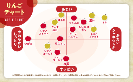 【訳あり】りんご【サンふじ】約5kg（12～20玉）【2025年産・先行予約】★2026年1月以降順次発送予定★ 青森県産 りんご 国産 フルーツ 果物 サンふじ  青森県三戸町 R0609